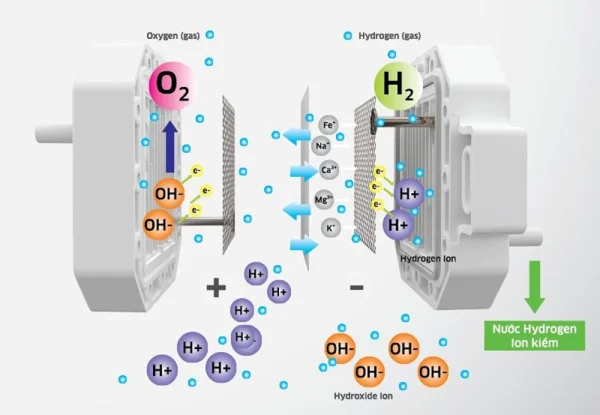 Cấu tạo máy lọc nước ion kiềm và nguyên lý hoạt động