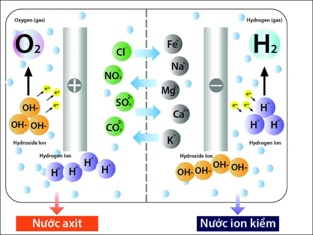 may-loc-nuoc-ion-kiem-2