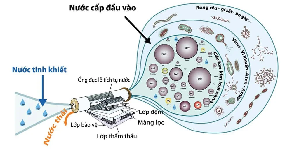 so-sanh-may-loc-nuoc-ro-va-ion-kiem-1